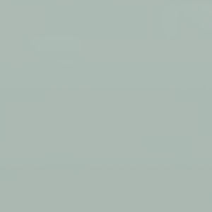 Meet your Posher, Aleece